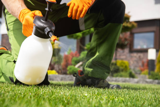 Best Best Pest Control Companies  in Lapwai, ID