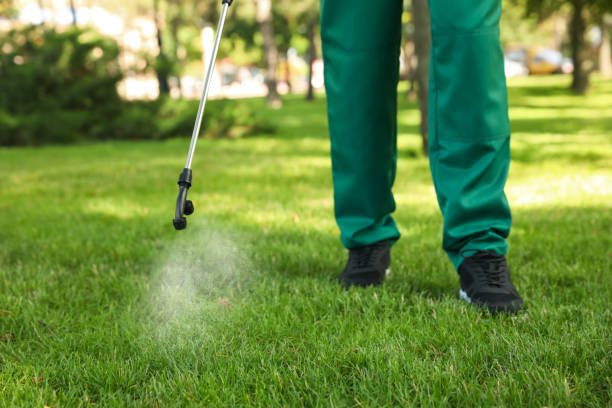Best Cockroach Control Services  in Lapwai, ID