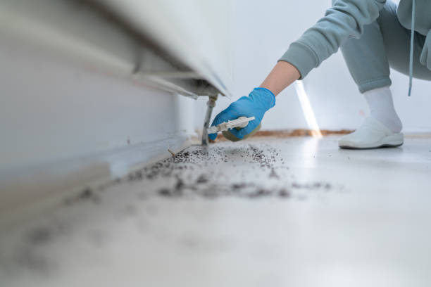 Best Wasp Removal Services  in Lapwai, ID