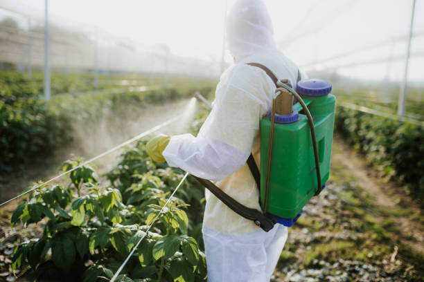 Best Pest Control Near Me in Lapwai, ID